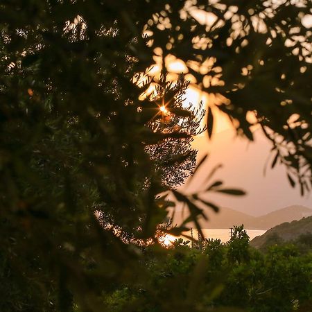 Kaktus Cakil Βίλα Κας Εξωτερικό φωτογραφία