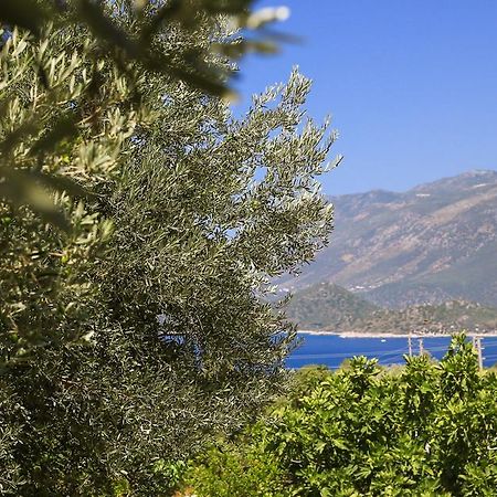 Kaktus Cakil Βίλα Κας Εξωτερικό φωτογραφία