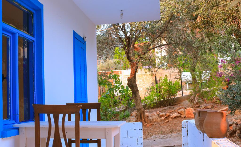 Kaktus Cakil Βίλα Κας Εξωτερικό φωτογραφία