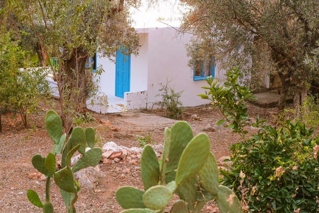 Kaktus Cakil Βίλα Κας Εξωτερικό φωτογραφία