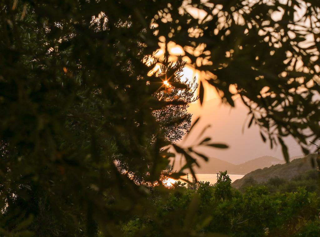 Kaktus Cakil Βίλα Κας Εξωτερικό φωτογραφία