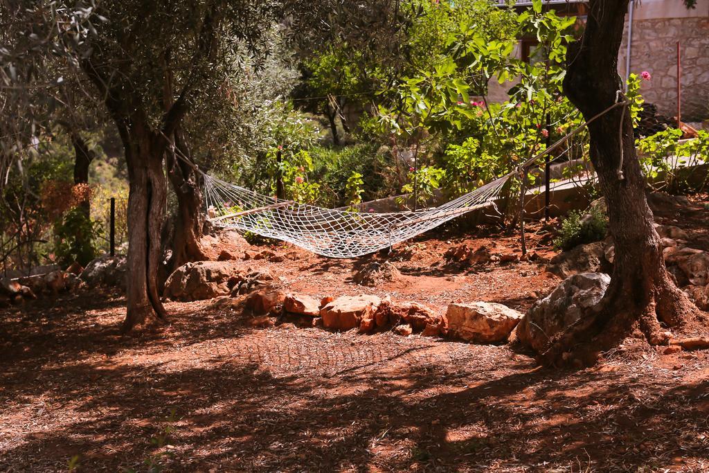 Kaktus Cakil Βίλα Κας Εξωτερικό φωτογραφία