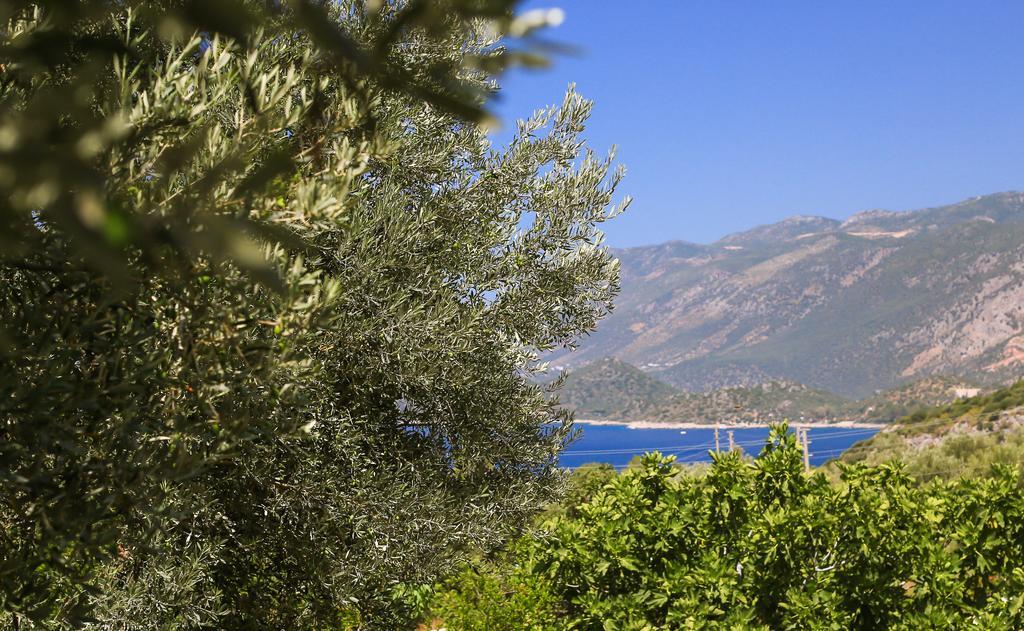 Kaktus Cakil Βίλα Κας Εξωτερικό φωτογραφία